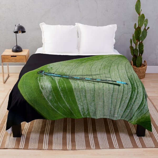 Item preview, Variable. Variable damselfly designed and sold by Jouko Lehto Photography.