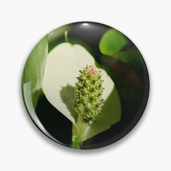 Item preview, White flower. Bog Arum designed and sold by Jouko Lehto Photography.