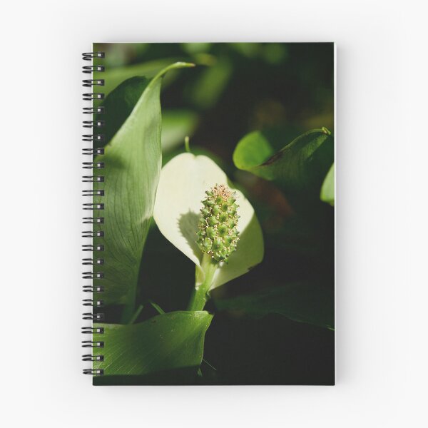 Item preview, White flower. Bog Arum designed and sold by Jouko Lehto Photography.