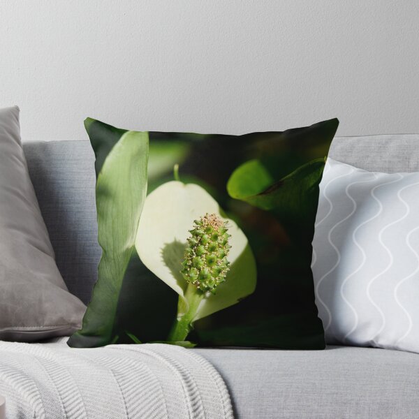 Item preview, White flower. Bog Arum designed and sold by Jouko Lehto Photography.