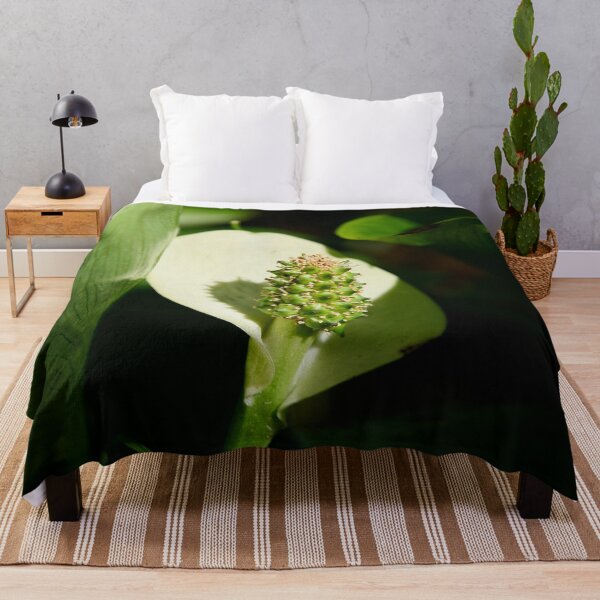 Item preview, White flower. Bog Arum designed and sold by Jouko Lehto Photography.