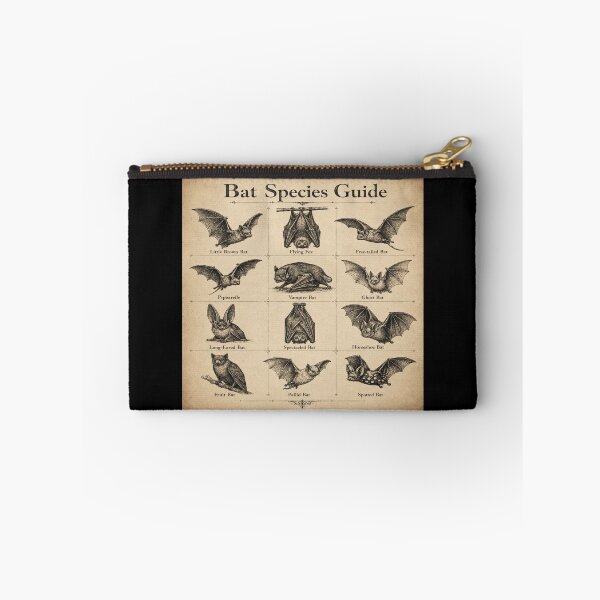 Item preview, Bat Species Guide for Bat Lovers designed and sold by POD DYNASTY | Original Print On Demand T-Shirt Graphics.