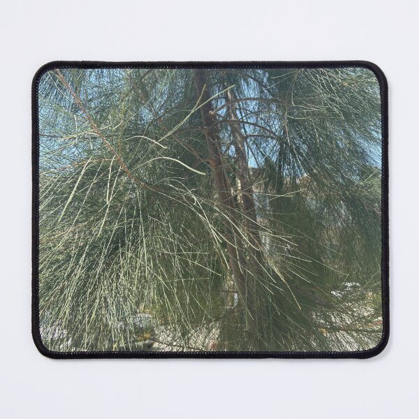 Item preview, The Coniferous One designed and sold by 55synonyms.