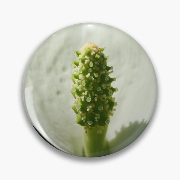 Item preview, Spot of light. Bog Arum designed and sold by Jouko Lehto Photography.
