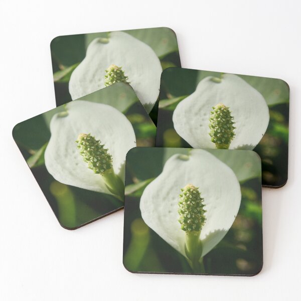 Item preview, Spot of light. Bog Arum designed and sold by Jouko Lehto Photography.