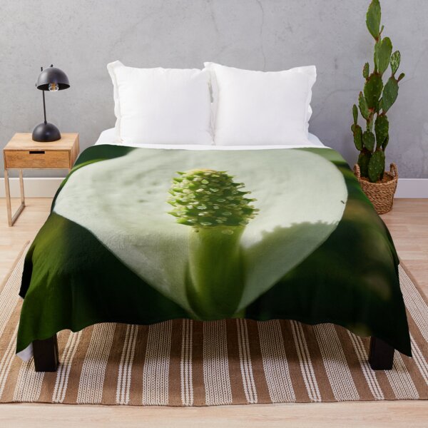 Item preview, Spot of light. Bog Arum designed and sold by Jouko Lehto Photography.