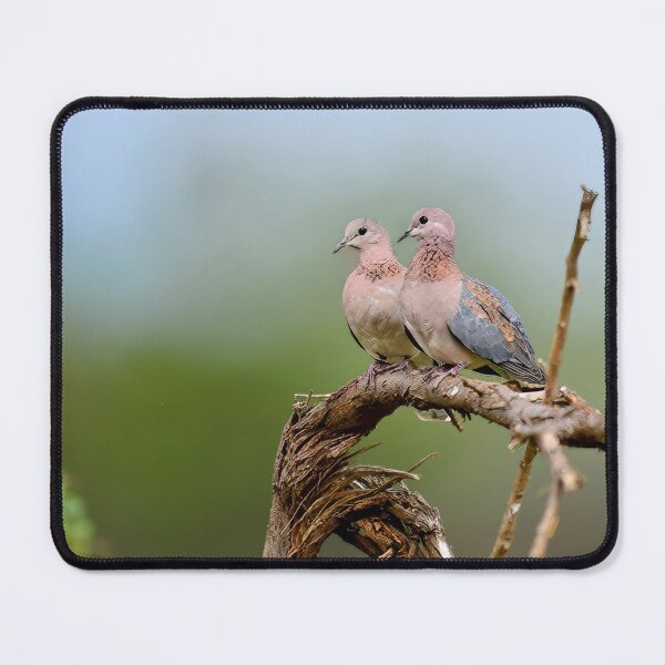 Item preview, Pair of African birds Resting on a Branch designed and sold by OlaniPictures.