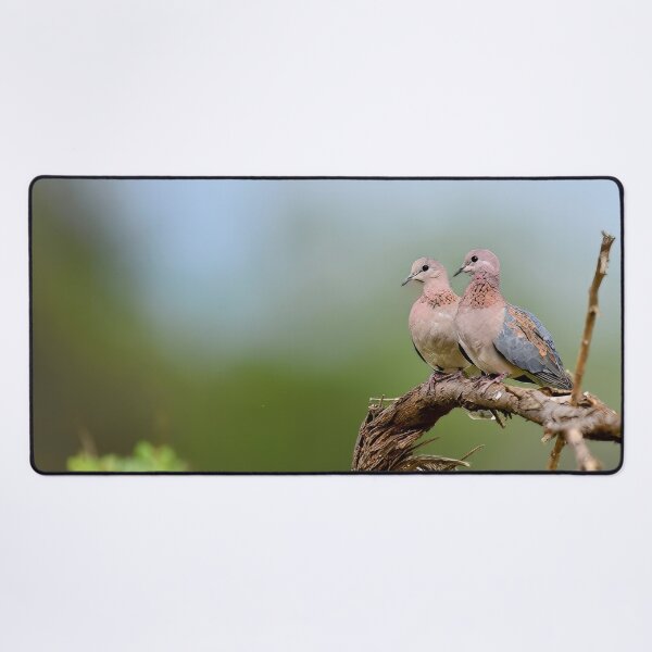 Item preview, Pair of African birds Resting on a Branch designed and sold by OlaniPictures.