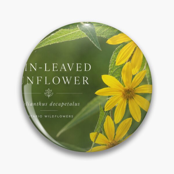 Item preview, Wild Sunflower Broad leaf Ontario Wildflower Series designed and sold by greatlakesimage.