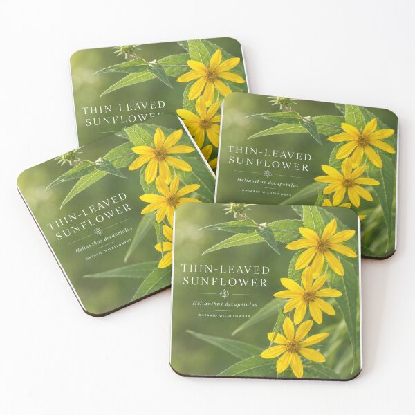 Item preview, Wild Sunflower Broad leaf Ontario Wildflower Series designed and sold by greatlakesimage.