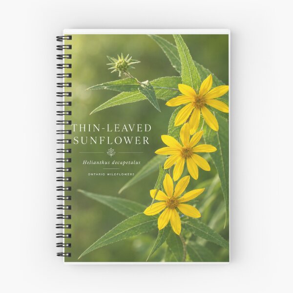 Item preview, Wild Sunflower Broad leaf Ontario Wildflower Series designed and sold by greatlakesimage.
