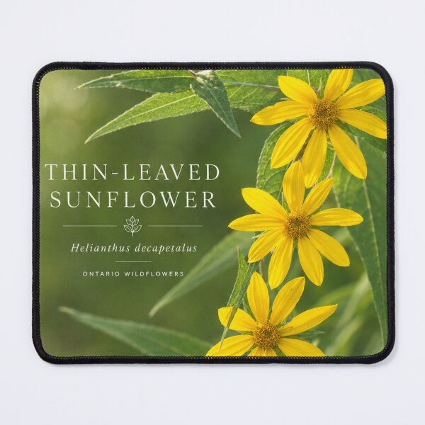 Item preview, Wild Sunflower Broad leaf Ontario Wildflower Series designed and sold by greatlakesimage.
