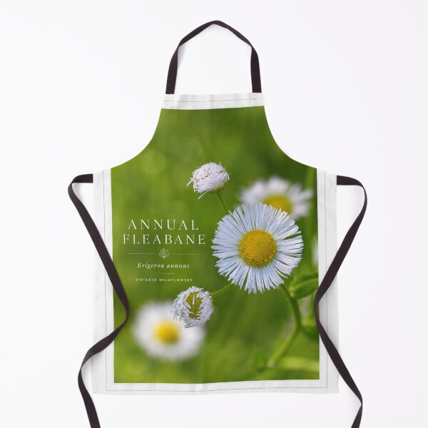 Item preview, Annual Fleabane Wild Daisy Botanical Art Poste designed and sold by greatlakesimage.