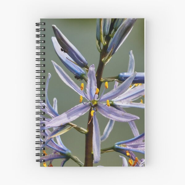 Item preview, Purple Camassia designed and sold by Eidetic Photos.