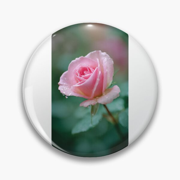 Item preview, Pink Rose with Dew Drops designed and sold by ThilankaDesign.