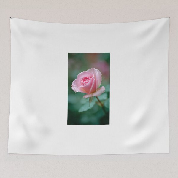 Artikelvorschau, Rosa Rose mit Tautropfen entworfen und verkauft von ThilankaDesign.