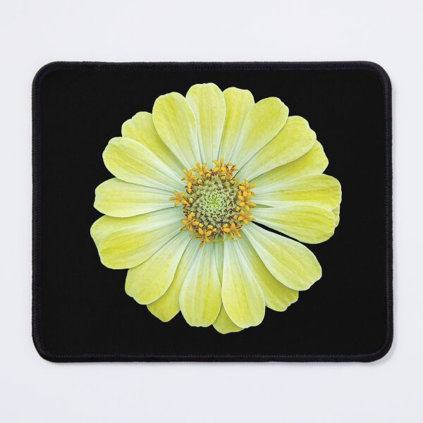Item preview, Yellow and white zinnia flower. designed and sold by MiMee4451.