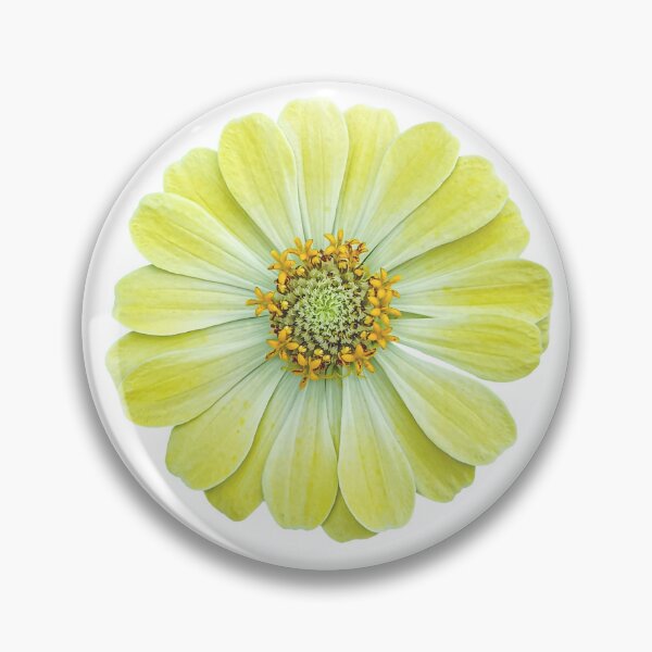 Item preview, Yellow and white zinnia flower. designed and sold by MiMee4451.