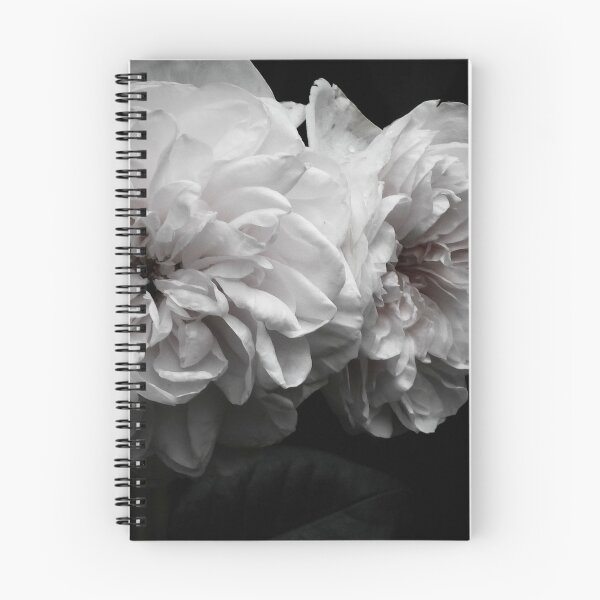 Item preview, White Whisper Roses – Pure Elegance designed and sold by Catfcreations.