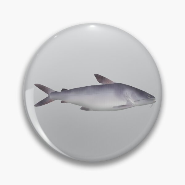 Item preview, Bagre de mar designed and sold by fishfolkart.