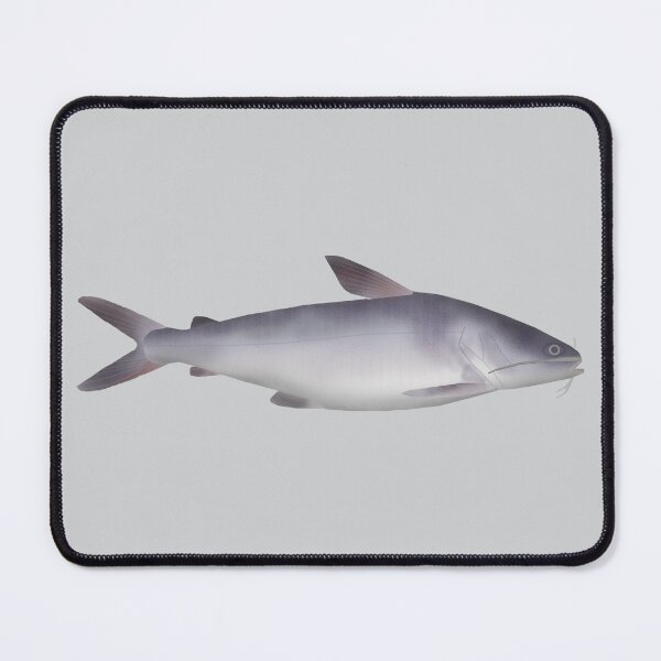 Item preview, Bagre de mar designed and sold by fishfolkart.