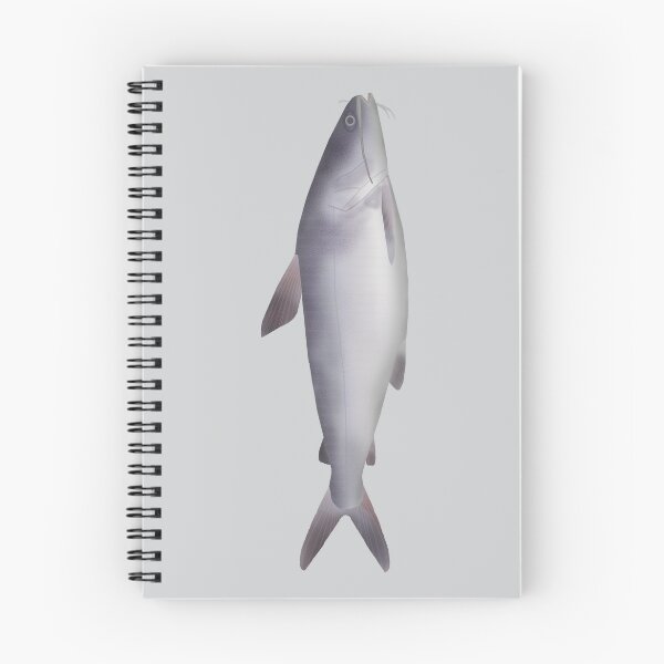 Item preview, Bagre de mar designed and sold by fishfolkart.