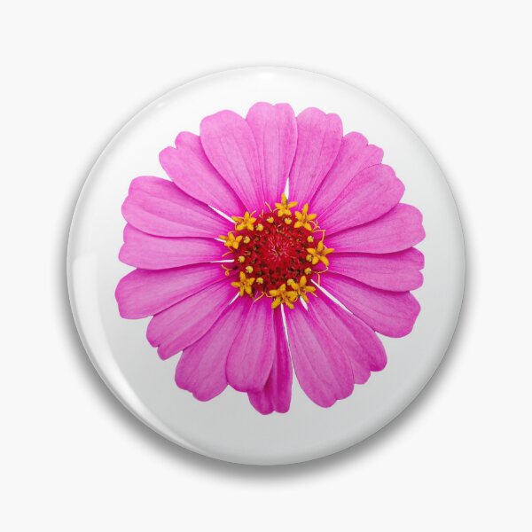 Item preview, Pink zinnia flower in full bloom. designed and sold by MiMee4451.