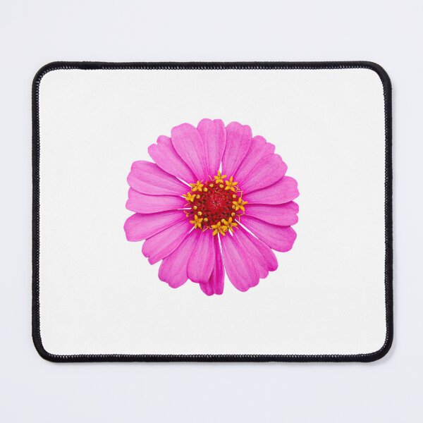 Item preview, Pink zinnia flower in full bloom. designed and sold by MiMee4451.