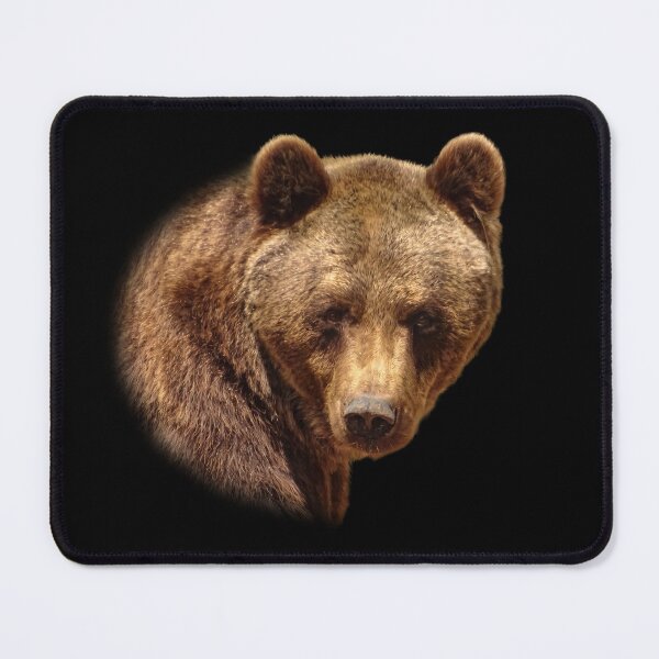Item preview, Brown Bear designed and sold by Guardi71.