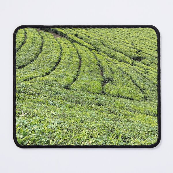 Item preview, tea garden in munnar, india designed and sold by rareravings.