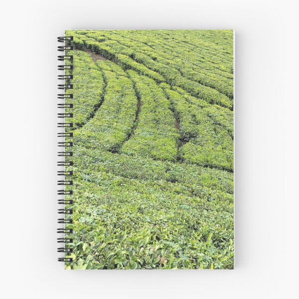 Item preview, tea garden in munnar, india designed and sold by rareravings.