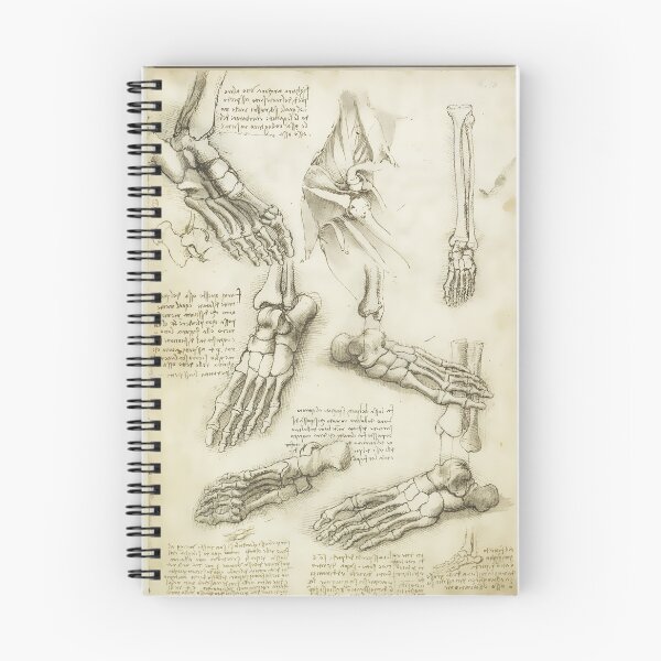 Item preview, Da Vinci Medical Decor designed and sold by Sintija BILIKA.