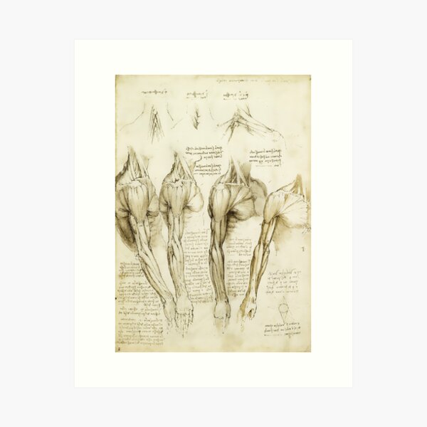 Da Vinci Medical Print - Medizinisches Dekor Kunstdruck