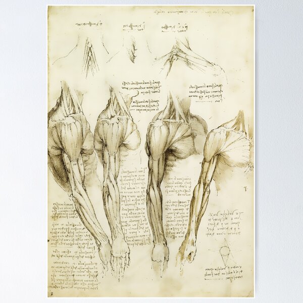 Item preview, Da Vinci Medical Print - Medical Decor  designed and sold by Sintija BILIKA.