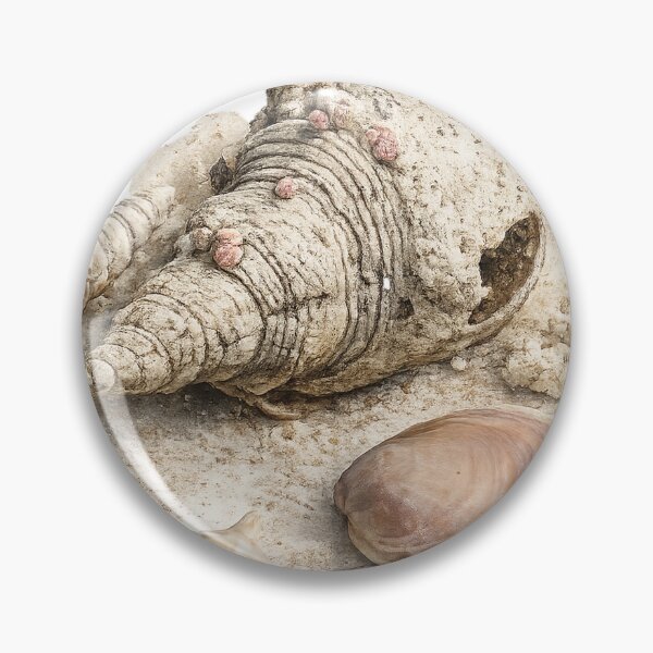 Item preview, Beachcombing designed and sold by Malwasneues.