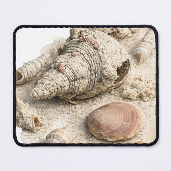 Item preview, Beachcombing designed and sold by Malwasneues.
