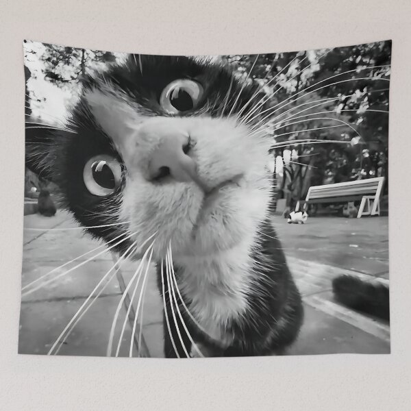 Item preview, The curious cat designed and sold by VisionCrafft.