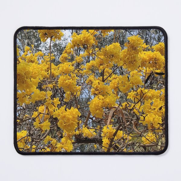 Item preview, yellow flowers on a tree in summer designed and sold by rareravings.