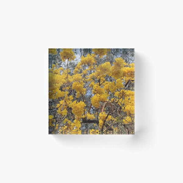 Item preview, yellow flowers on a tree in summer designed and sold by rareravings.