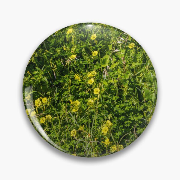 Item preview, Sunlit Field of Yellow Wildflowers and Green Grass Meadow With Clover and Spring Foliage designed and sold by Nmallia.