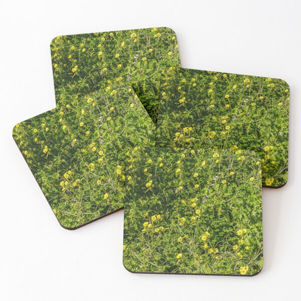 Item preview, Sunlit Field of Yellow Wildflowers and Green Grass Meadow With Clover and Spring Foliage designed and sold by Nmallia.