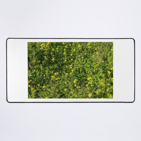 Item preview, Sunlit Field of Yellow Wildflowers and Green Grass Meadow With Clover and Spring Foliage designed and sold by Nmallia.