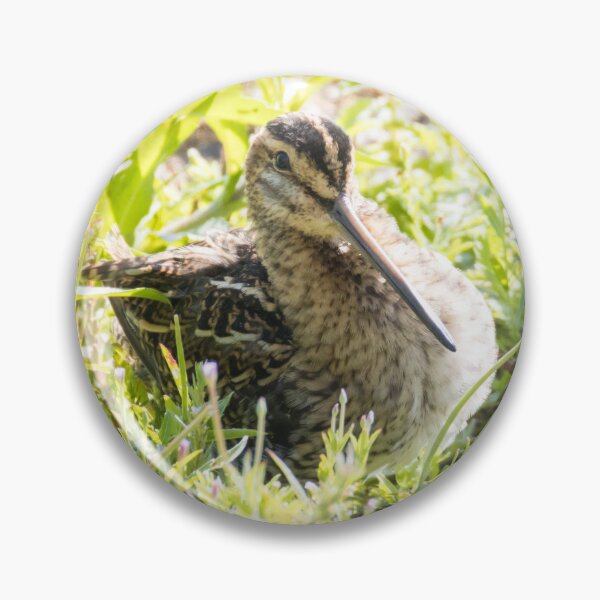 Item preview, Common Snipe designed and sold by LaurenTucker.