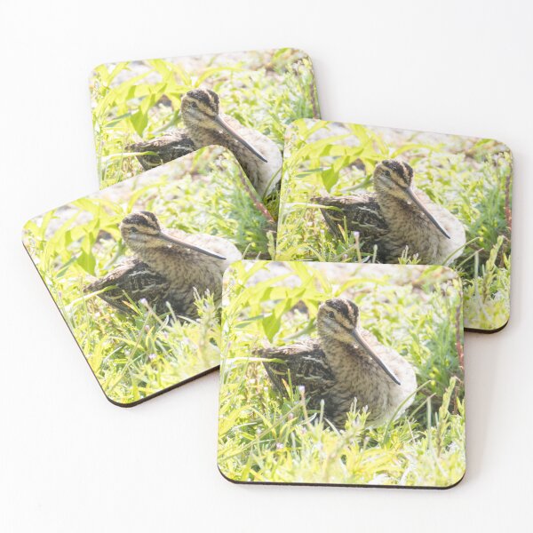 Item preview, Common Snipe designed and sold by LaurenTucker.