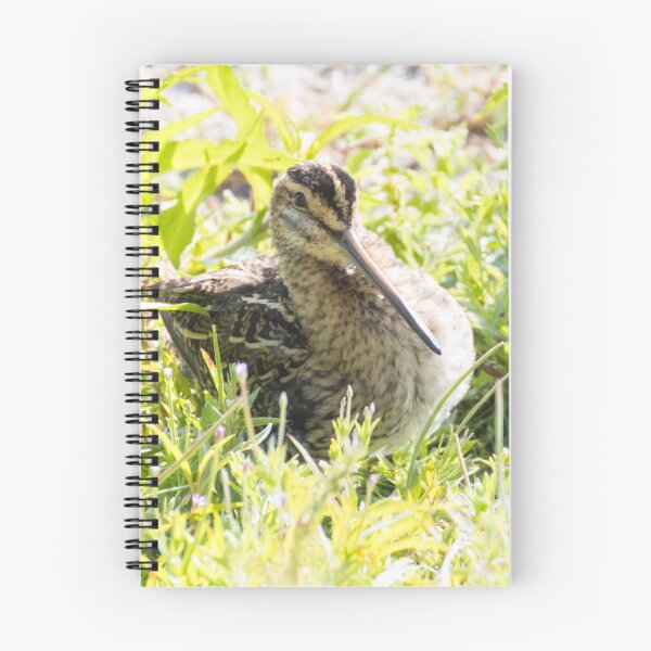 Item preview, Common Snipe designed and sold by LaurenTucker.