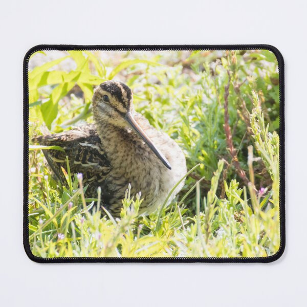 Item preview, Common Snipe designed and sold by LaurenTucker.