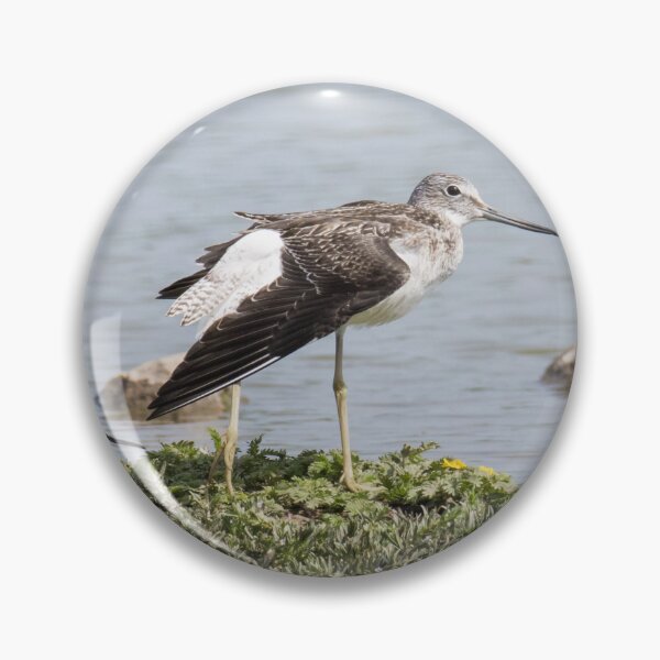 Item preview, Common Greenshank designed and sold by LaurenTucker.