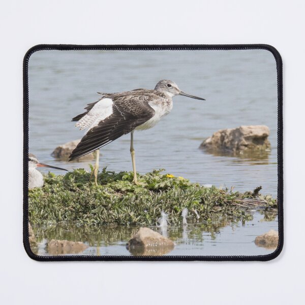 Item preview, Common Greenshank designed and sold by LaurenTucker.