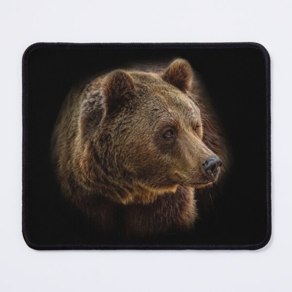 Item preview, Brown Bear designed and sold by Guardi71.