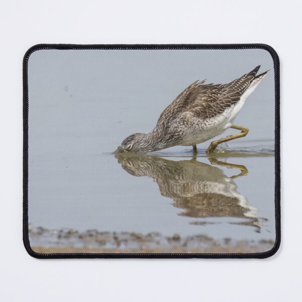 Item preview, Common Greenshank designed and sold by LaurenTucker.